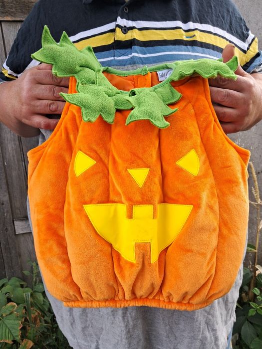 Костюмчик-Гарбузик