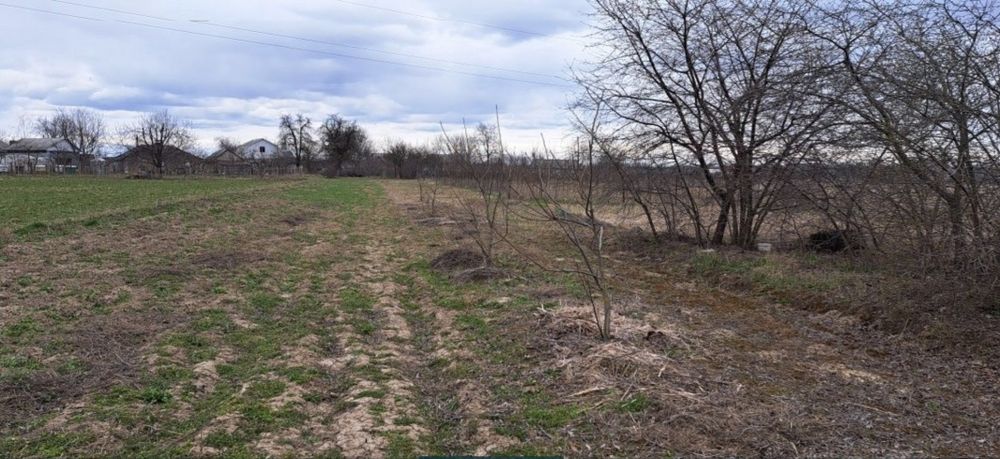 Продається будинок в с. Іванівці Барського р-н.