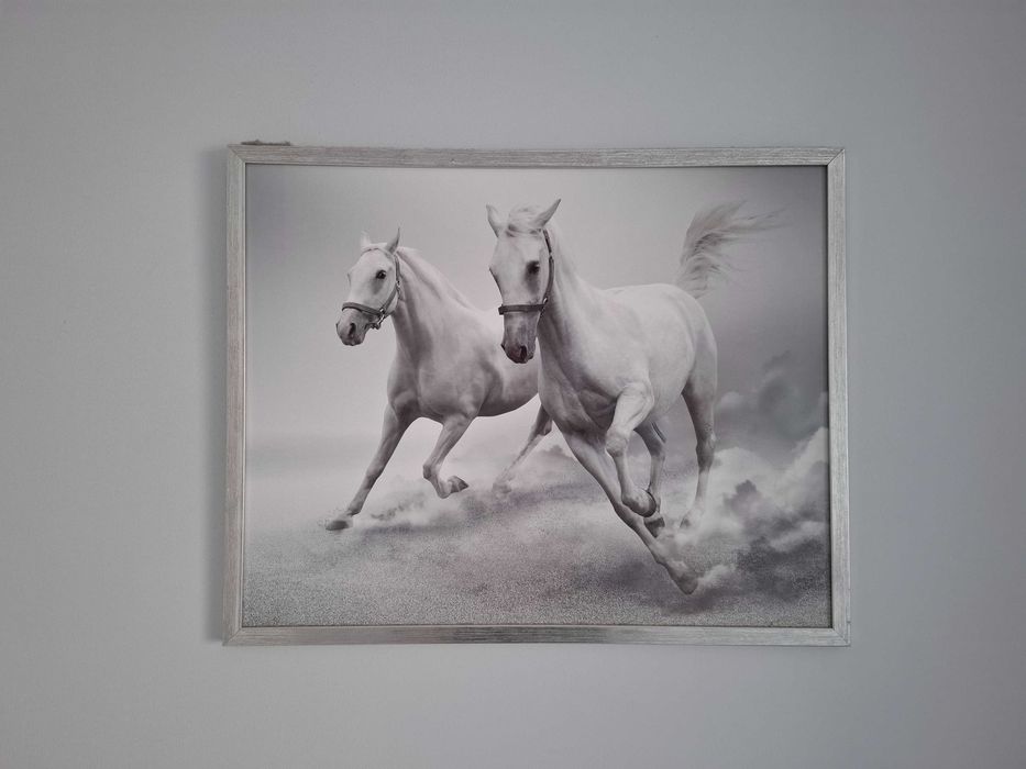 Obraz z końmi 52x42cm