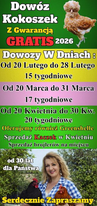 Kokoszki z GWARANCJĄ - Dowóz GRATIS Ferma Drobiu Ładna 97A Luty/Marzec