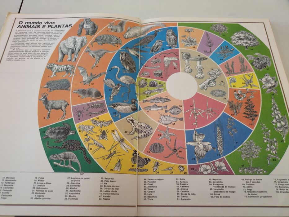 Maravilhas da Natureza de David Sharp