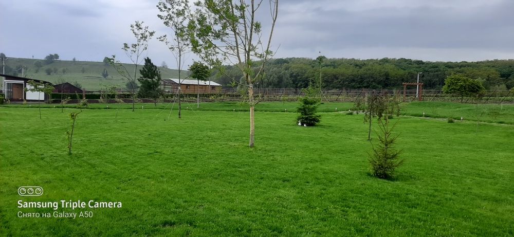 Скарифікація покос газону обприскування саду обрізка Авто полив.