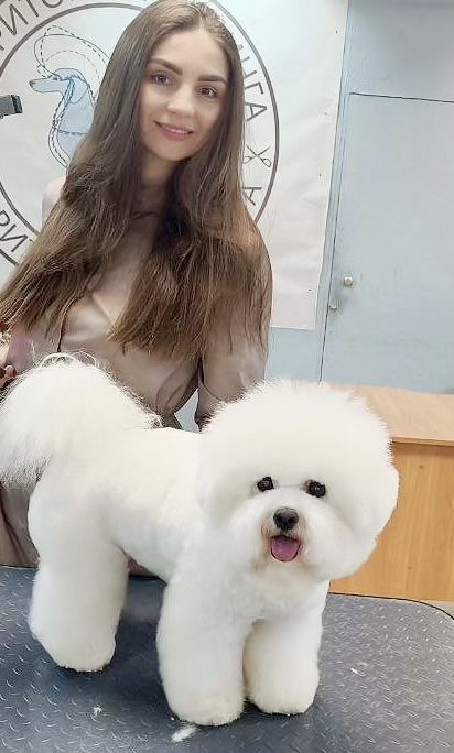 Грумер. Стрижка собак. Святопетрівське  Білогородка Боярка