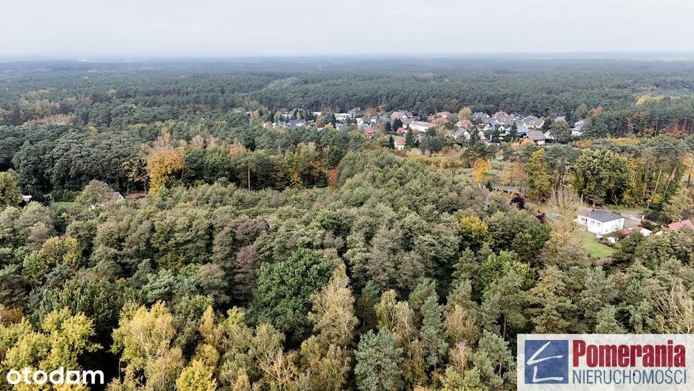 Dom w Pilchowie do własnej aranżacji 150 m2 !!!