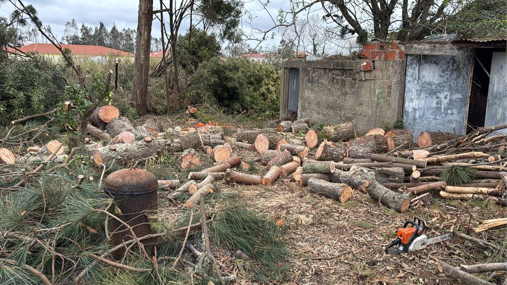 Limpeza  pinhais, eucaliptais, terrenos, manutenção de, jardins, poda…