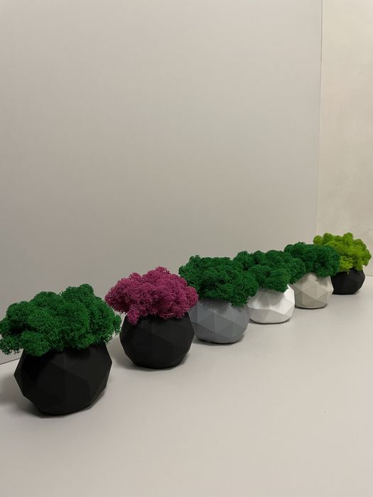 Doniczka betonowa z chrobotkiem