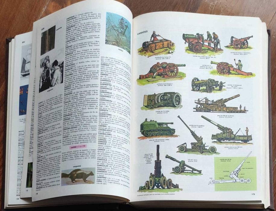 Dicionário Enciclopédico KOOGAN LAROUSSE SELEÇÕES