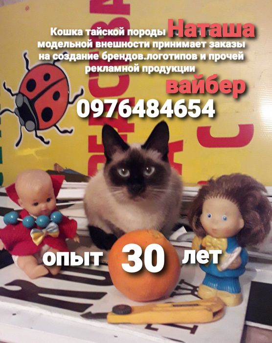 Макеты( корал.фотошеп иллюстратор.аутокад ит д) изготовление рекламы