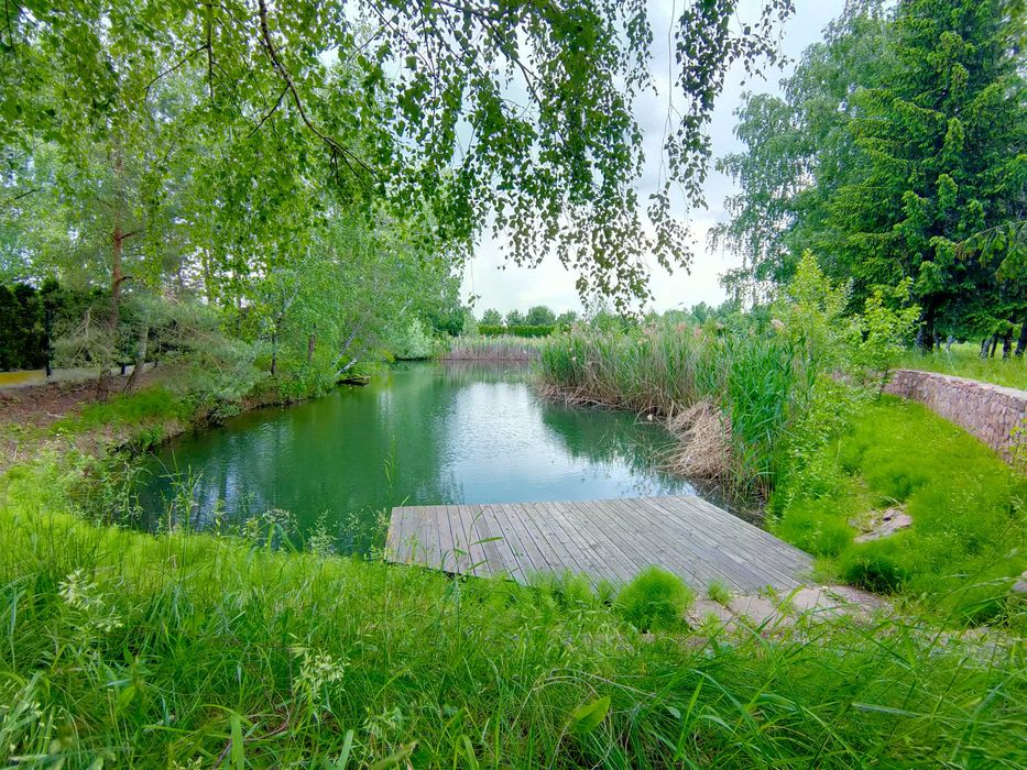 Елітна ділянка 200 соток,Осокорки до 1 шлюзу,Дніпро,Славутич 8 км,без%