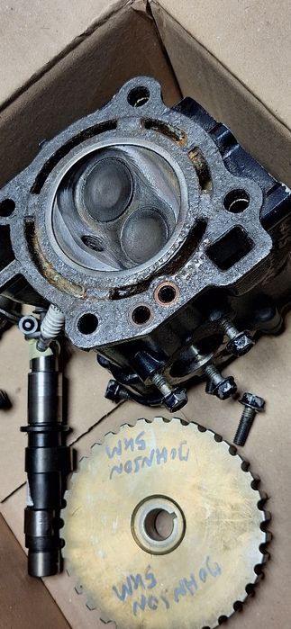 Ewinrude 5/6  hp  4T głowica silnika
