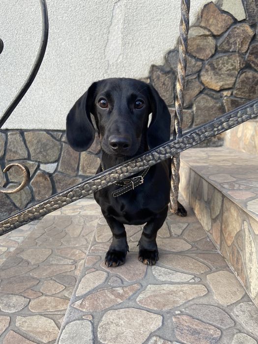 Вʼязка такси