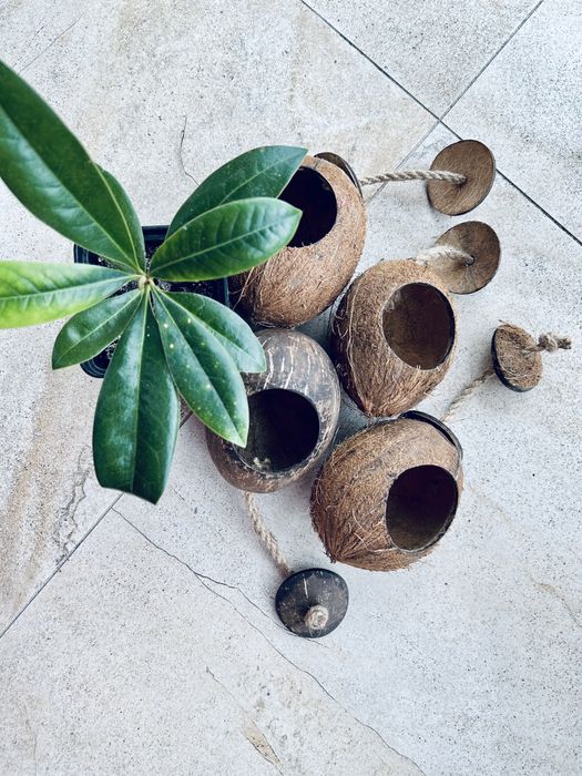 ЕкоДІМ, годівничка та гойдалка для домашніх улюбленців з кокосу