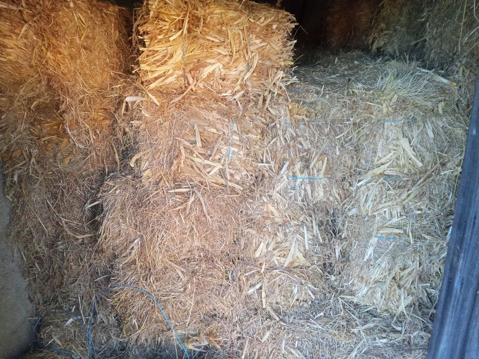 Fardos de palha com milharada