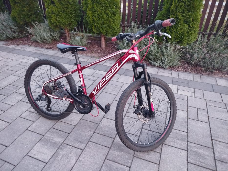 Rayon Viper Czerwony 24'' 2X Disc