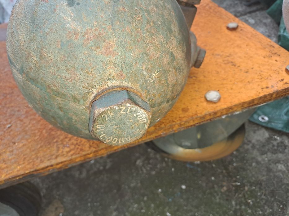 Pompa ambisyjka ozdobna