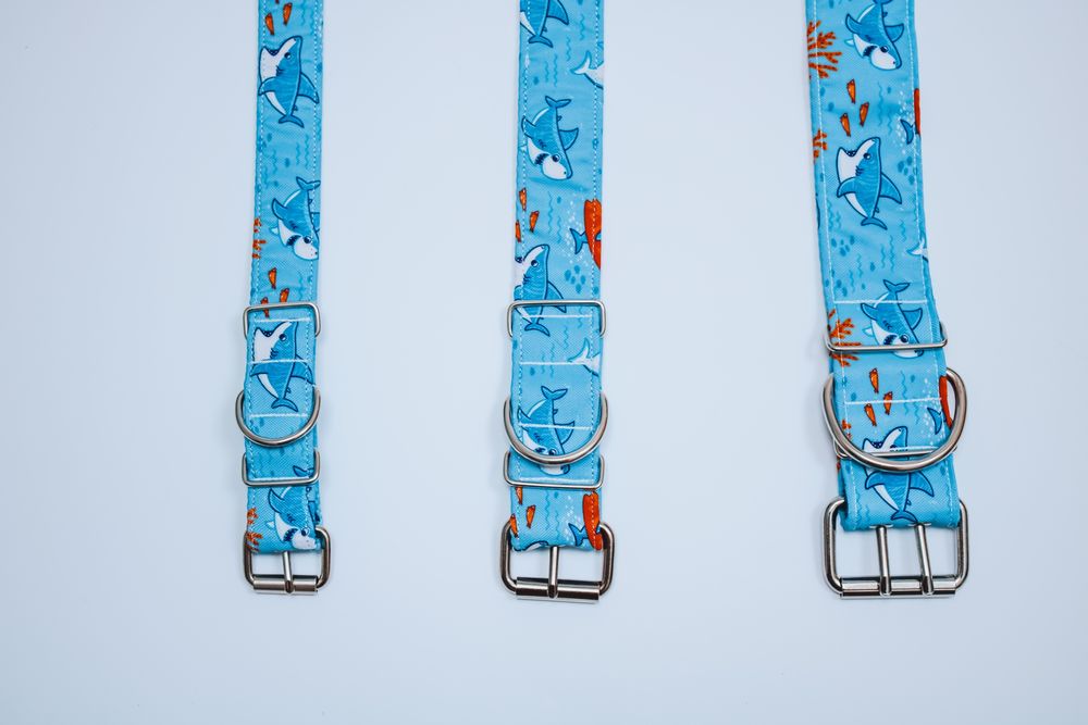 Obroża dla psa mocna regulowana 3cm wzory dostepne klamra dziurki