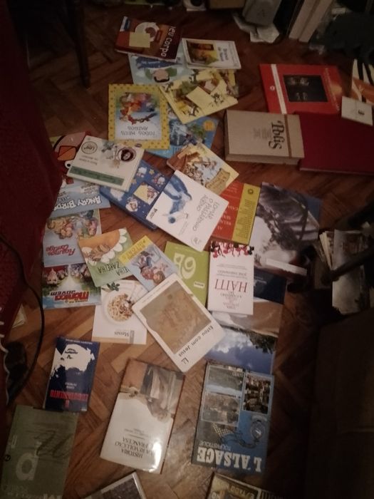 Grandes Saldos Saramago/outros raros/BD juvenil e muitos mais Desde 2E