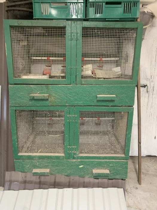 Продаються брудери для бролярів