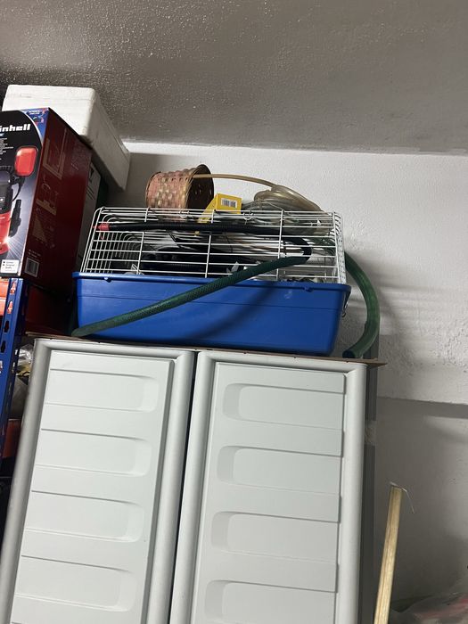 Vendo gaiolas em hom estado