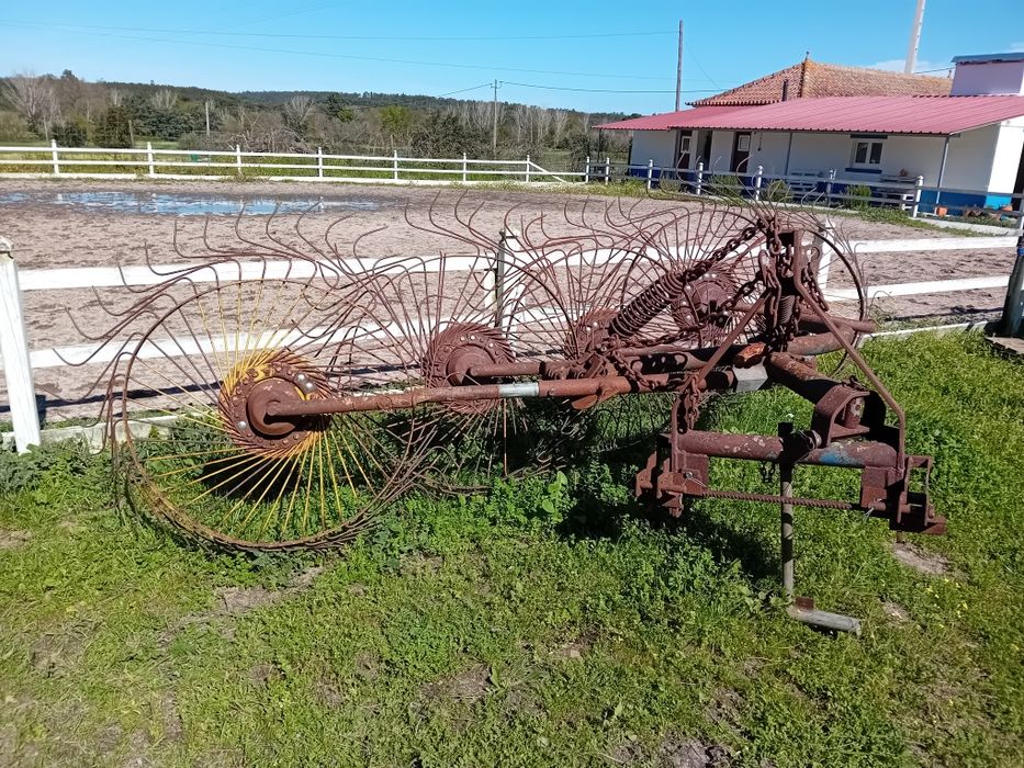 Vendo junta pasto girassol