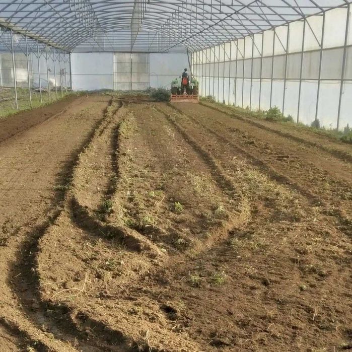 Estufa Agrícola Usada