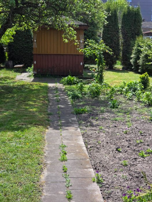 Działka ROD ul. Hetmańska - Widok 2