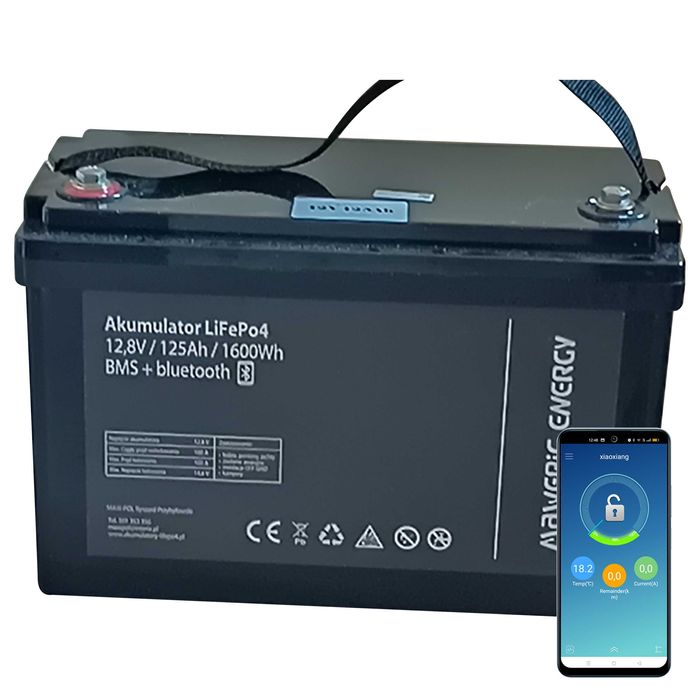 LiFePO4 12V125Ah z BMS Bluetooth balanser (łódź, ponton, jacht, solar)