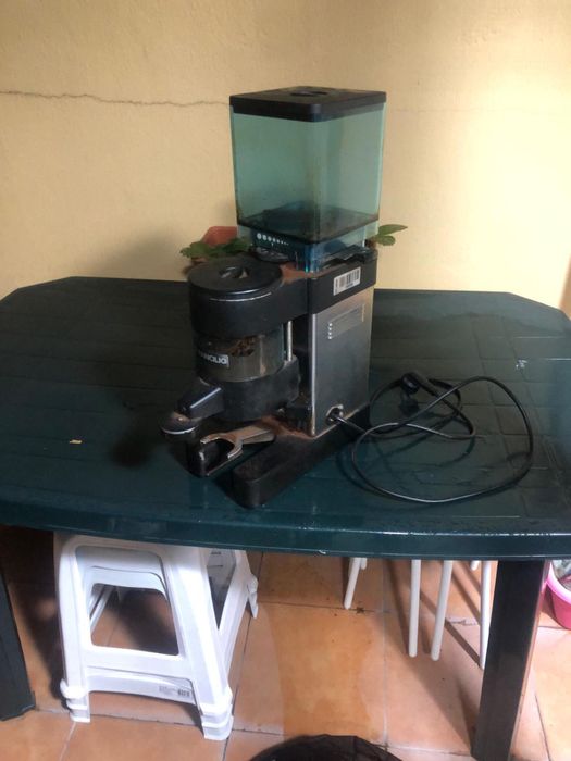 Moinho café, de marca Rancilío em ótimo estado