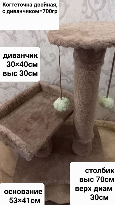Когтеточки разные