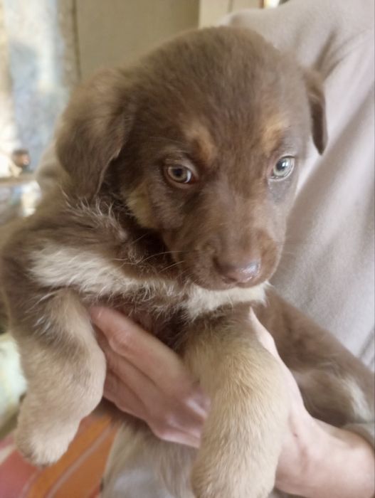 Хочу в люблячу родину!