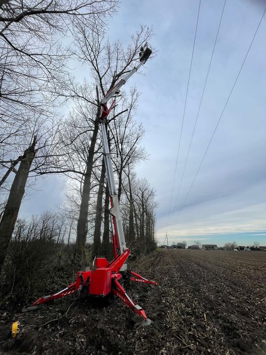 Wycinka drzew,  karczowanie działek, usługi rębakiem