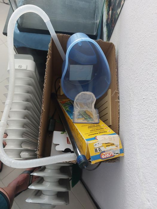 Aquário e acessórios
