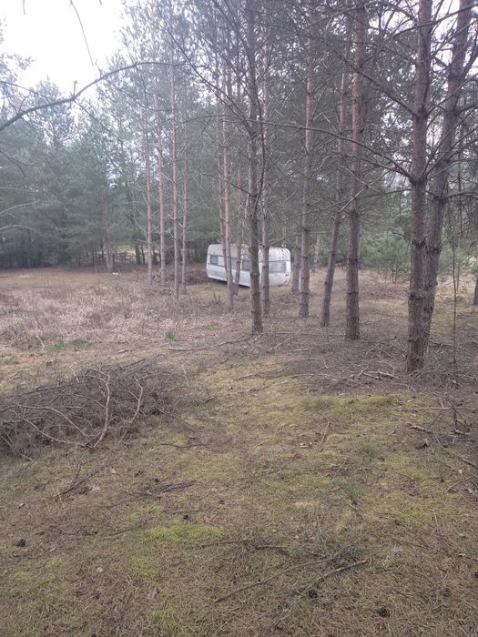 Działka koło rzeki Wda