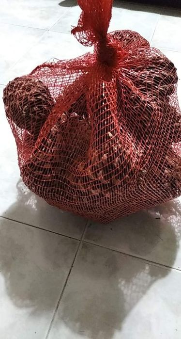 Sacas de 30 pinhas para lareira ou churrasco bem secas