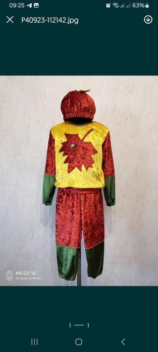 Ковбой,їжачок,краплинка,дощ,осіннь, жовтень,пшениця,колосок,листочок