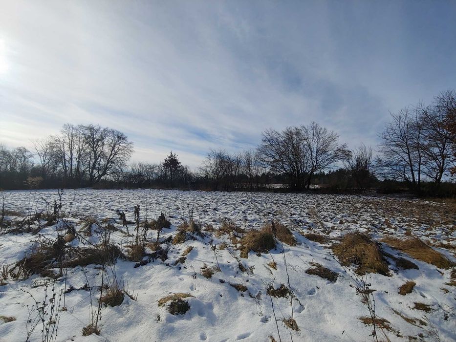 ДІЛЯНКА від ОЛЕКСАНДРА! ЗНИЖЕНА ЦІНА!!! Глинськ під забудову,33 сот.