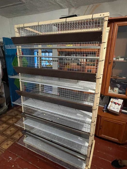 Перепелині клітки. 5 ярусів 100 на 50 см