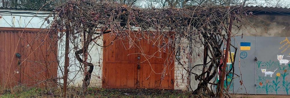 Гараж в автокооперативі "Луч" ( Загребля)