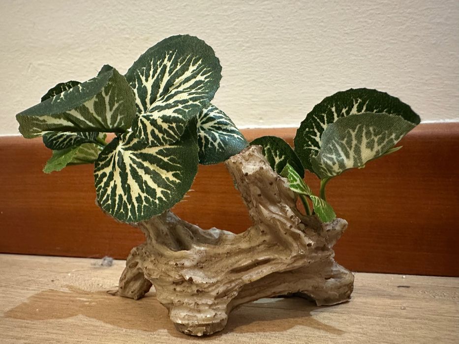 Rocha e Pedra para aquário