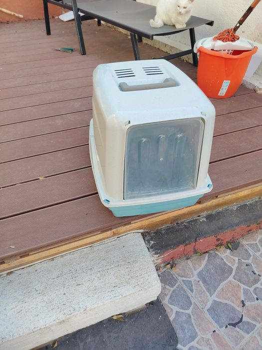 Caixa de areia para gato