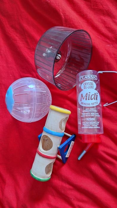 Akcesoria dla chomika