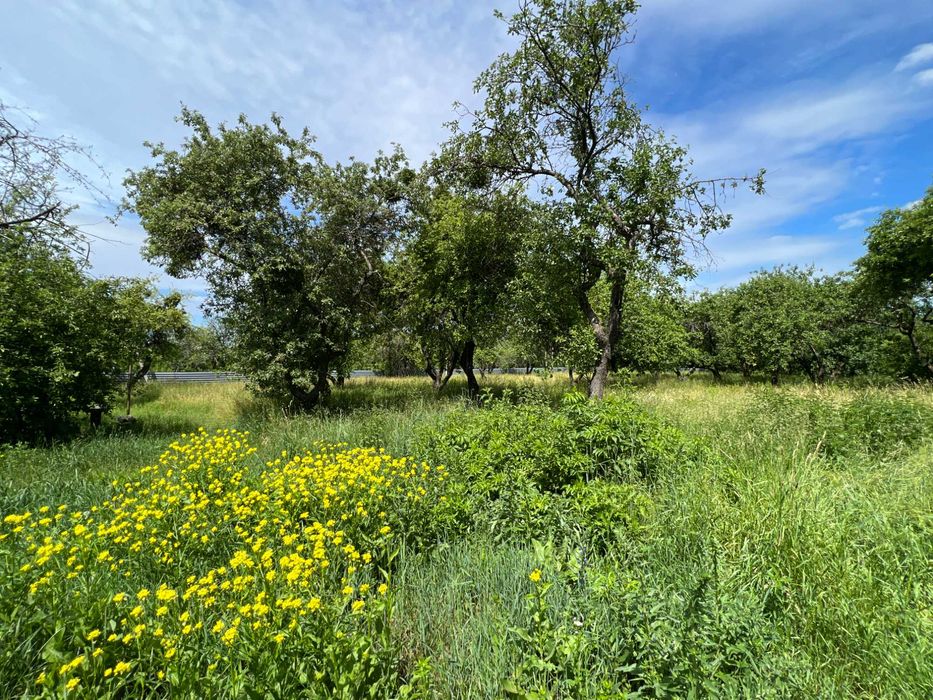 Продається ГОТЕЛЬНО-РЕСТОРАННИЙ комплекс ФАСАД 0,75 Га траса КИЇВ-ЧОП