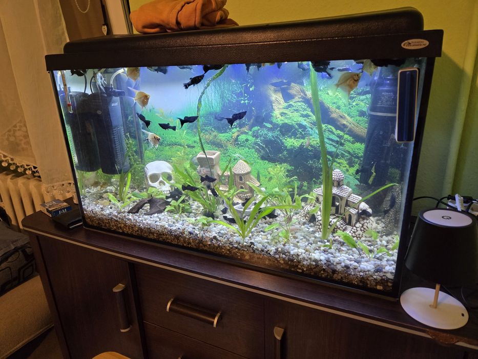 Akwarium 120l kompletne z życiem