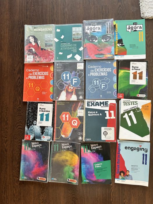 Livros 11o ano e preparar exames