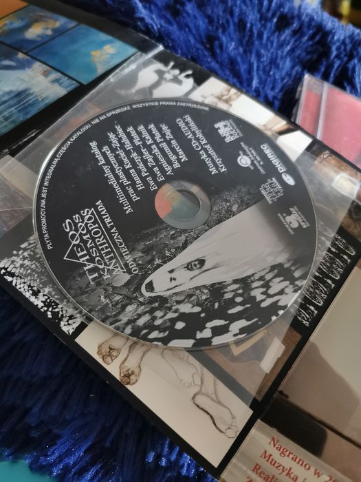 Krzysztof Kobyliński