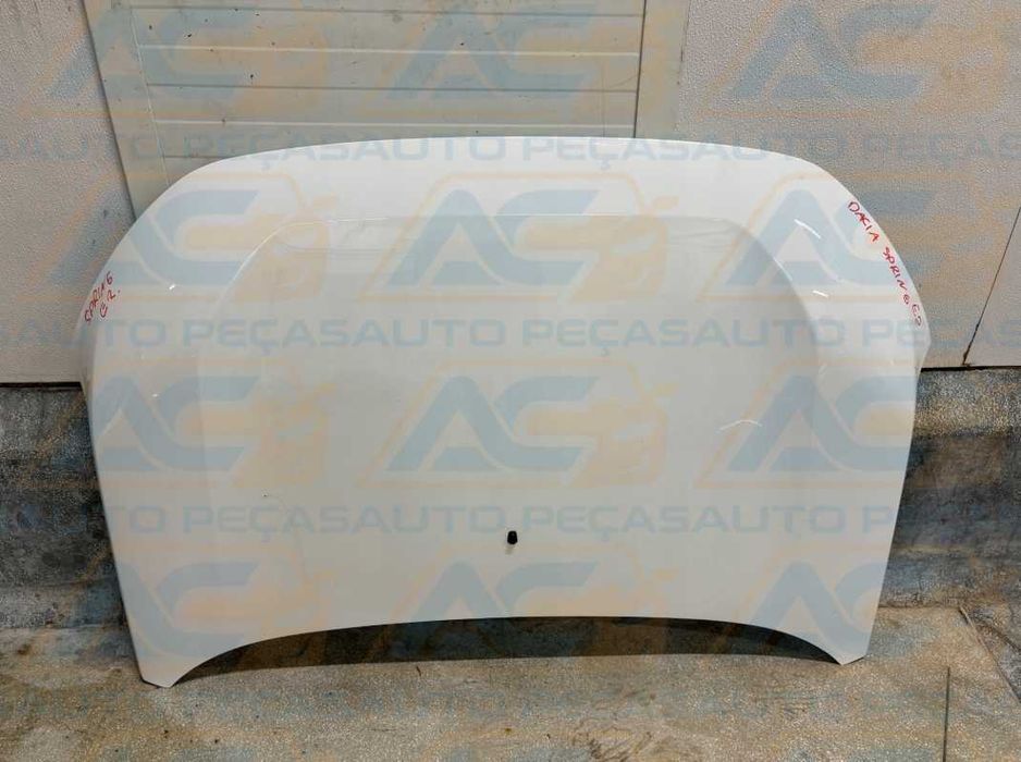 DACIA SPRING II Frente Completa