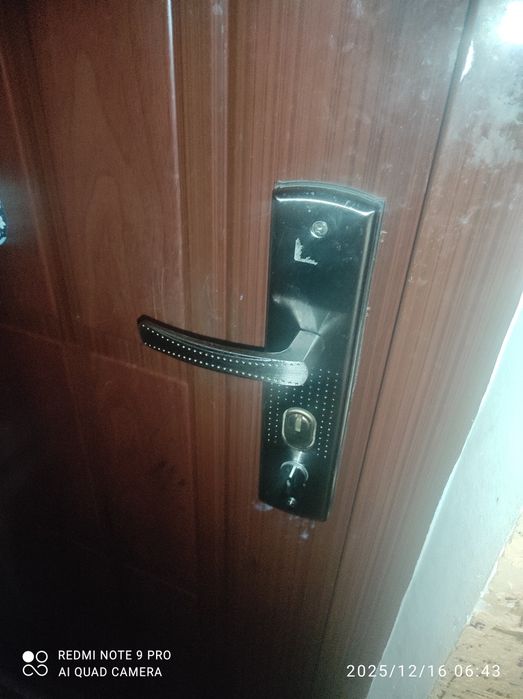 Ручка входной двери, правая