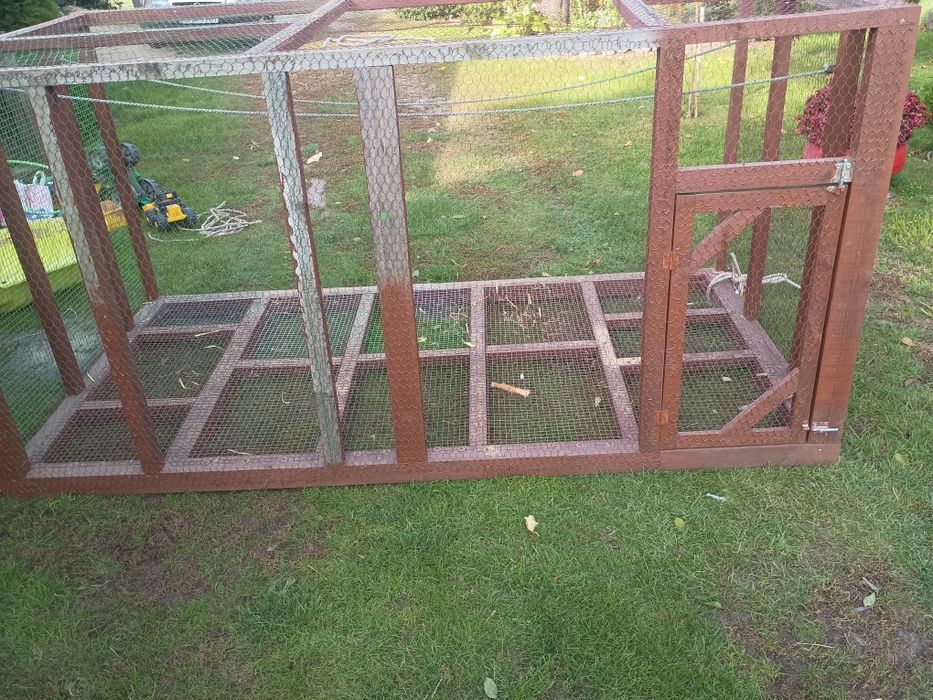 Posiadam papugi kolorowe