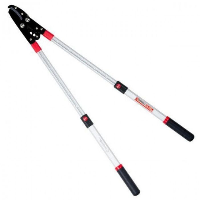 Сучкоріз садовий