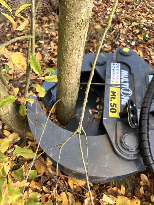 Wynajem MultiOne 8.5 + nożyce – precyzyjne usuwanie drzew, samosiejek.